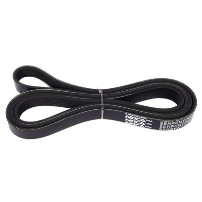 MOCA Serpentine Belt - ESP0266
