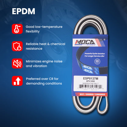 MOCA Serpentine Belt - ESP0137M