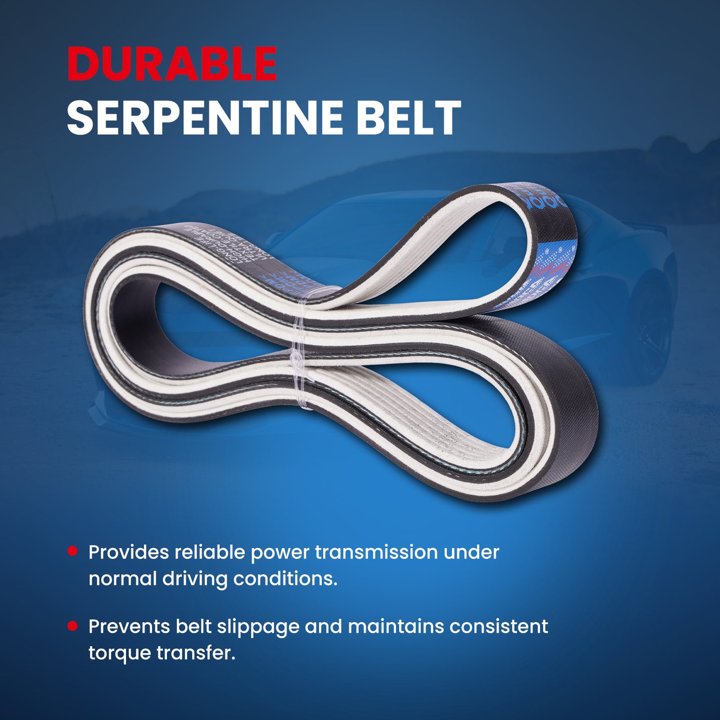 MOCA Serpentine Belt - ESP0137M