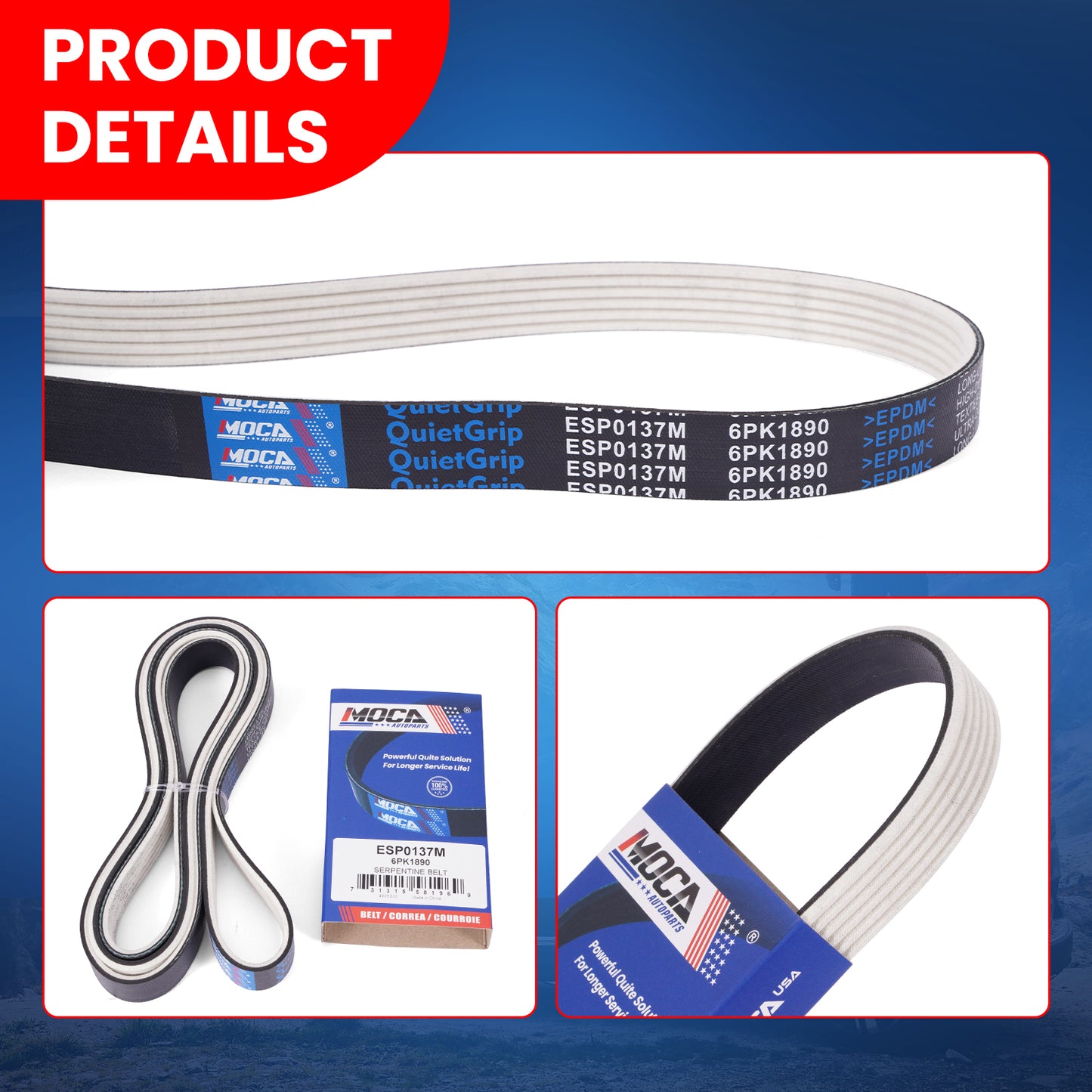 MOCA Serpentine Belt - ESP0137M