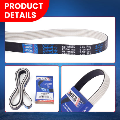 MOCA Serpentine Belt - ESP0137M