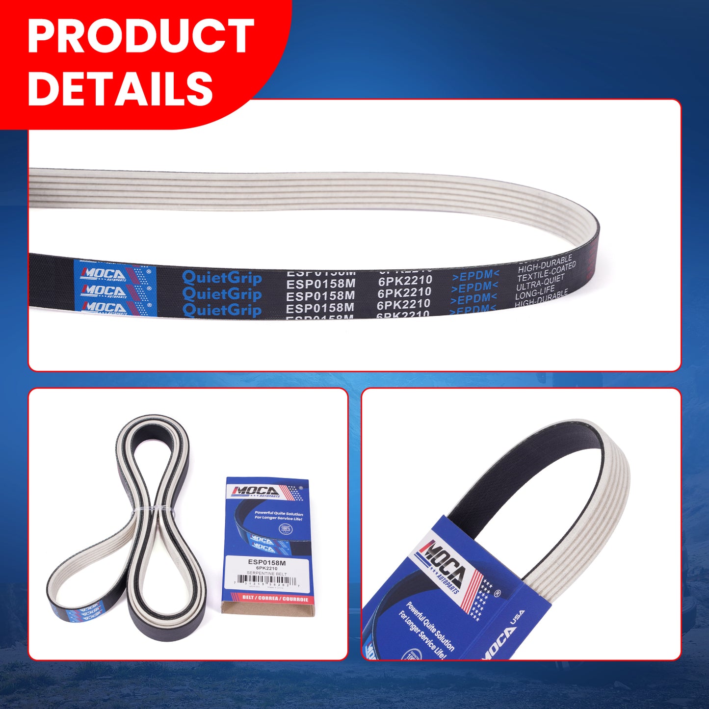 MOCA Serpentine Belt - ESP0158M