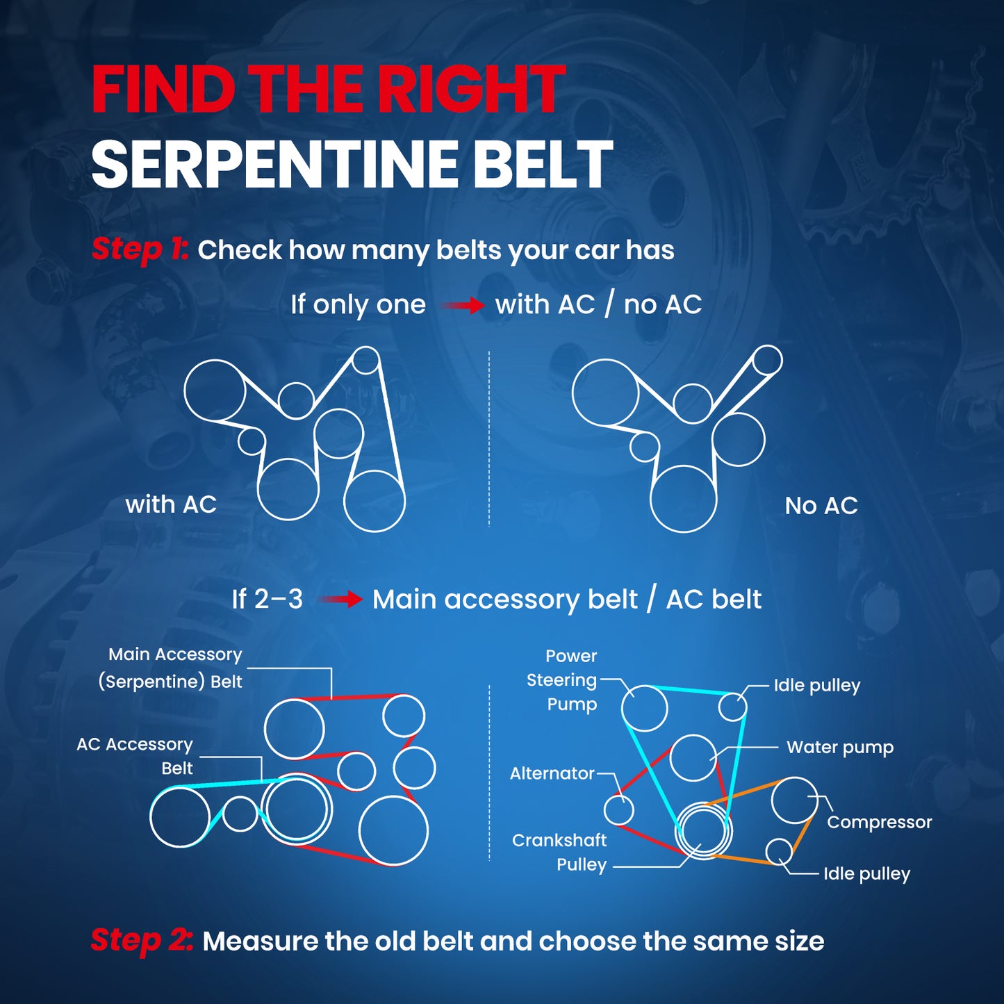 MOCA Serpentine Belt - ESP0171M