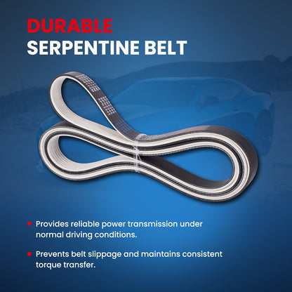 MOCA Serpentine Belt - ESP0173M