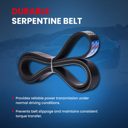 MOCA Serpentine Belt - ESP0426