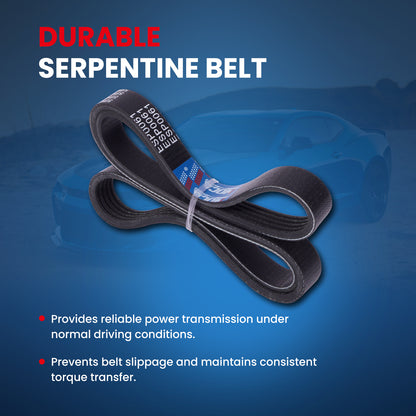 MOCA Serpentine Belt kit - ESP1129K3