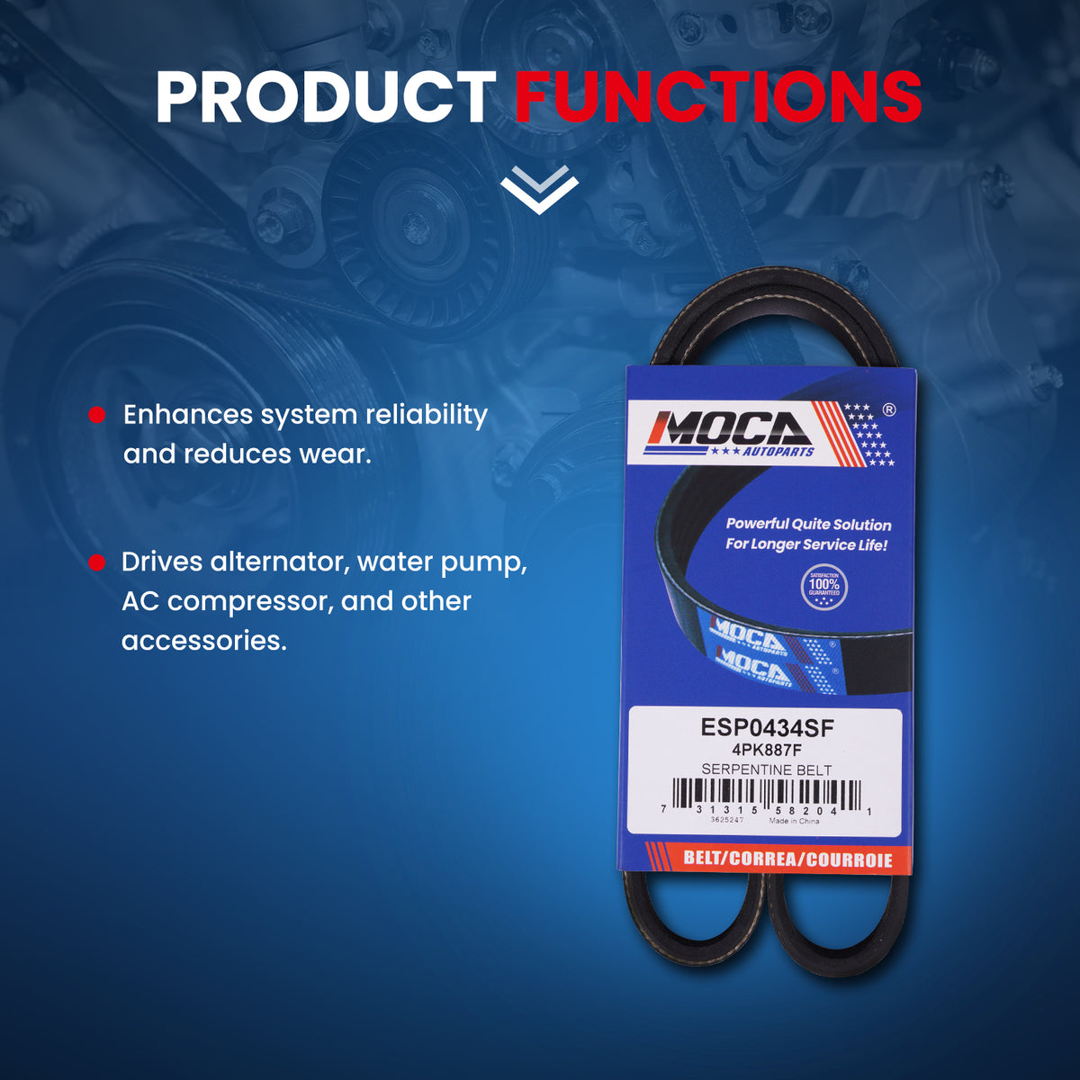 MOCA Serpentine Belt kit - ESP1130K3