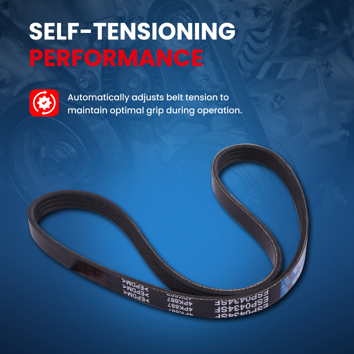 MOCA Serpentine Belt kit - ESP1130K3