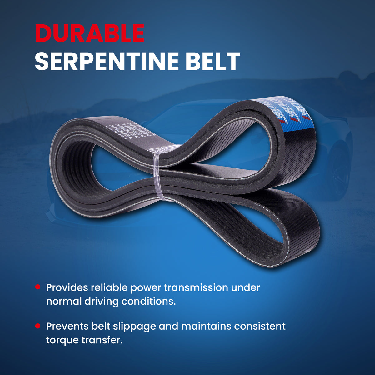 MOCA Serpentine Belt kit - ESP2048K2