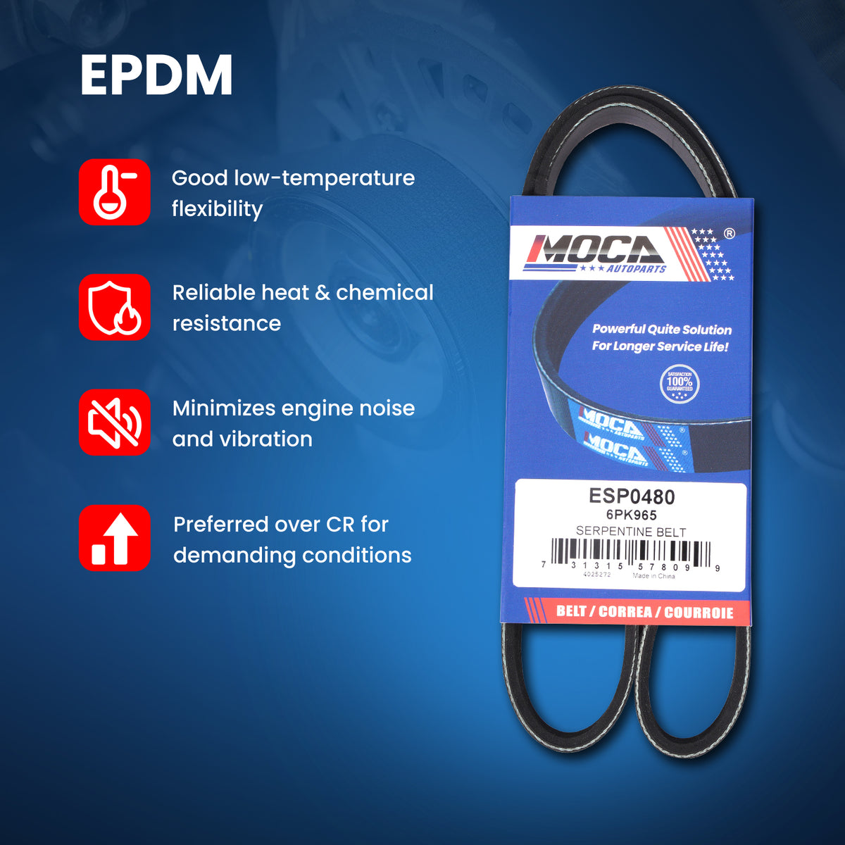 MOCA Serpentine Belt kit - ESP2050K2