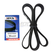 MOCA Serpentine Belt - ESP0406