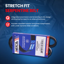 MOCA Serpentine Belt - ESP0435SF