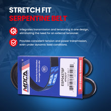MOCA Serpentine Belt - ESP0437SF
