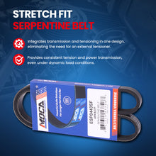 MOCA Serpentine Belt - ESP0443SF