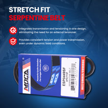 MOCA Serpentine Belt - ESP0449SF
