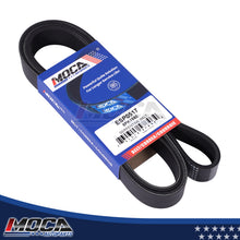 MOCA Serpentine Belt - ESP0517