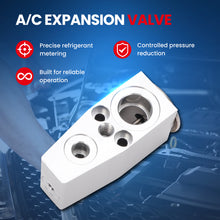 MOCA AC Expansion Valve - EXV4743