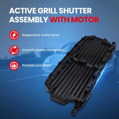 MOCA Grille Air Intake - RSA4954