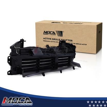 MOCA Grille Air Intake - RSA4956