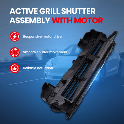 MOCA Grille Air Intake - RSA4956