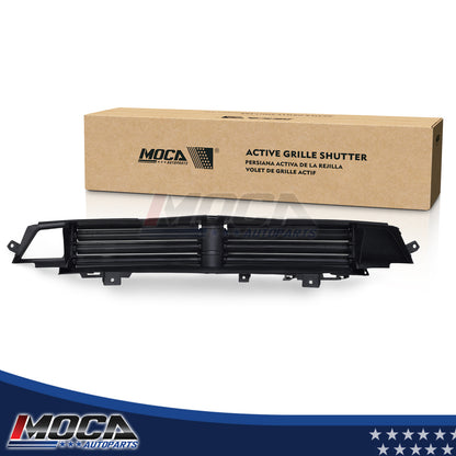 MOCA Grille Air Intake - RSA4958