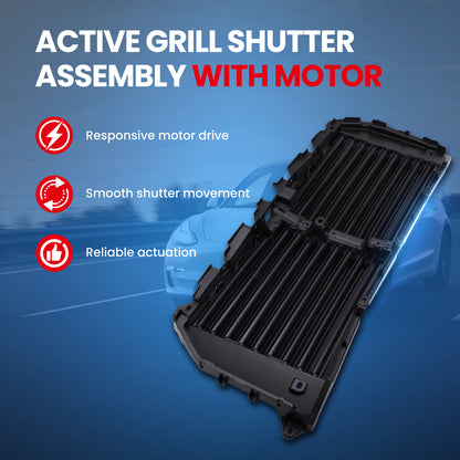 MOCA Grille Air Intake - RSA4960