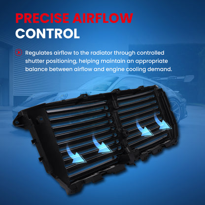 MOCA Grille Air Intake - RSA4960