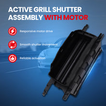 MOCA Grille Air Intake - RSA4961