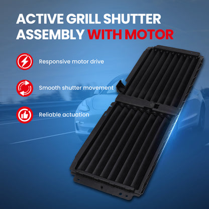 MOCA Grille Air Intake - RSA4969