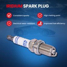 MOCA Spark Plugs - SP6084