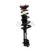 2X Rear Complete Strut Spring Coil Shock Absorber Fit 00-06 Hyundai Elantra 2.0L