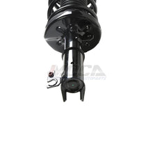 2 amortiguadores de resorte helicoidal para puntal delantero compatibles con Mazda Protege5 1.6, 1.8 y 2.0L (modelos 00-03)