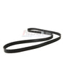 MOCA 2PCS Serpentine Belt 5PK1005 7PK1635 for 2000-2003 BMW X5 4.4L & 2001 BMW 740i 4.4L & 2001-2003 BMW 540i 4.4L