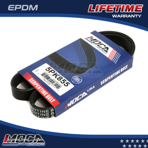 Correa serpentina MOCA 5PK855 para Nissan Quest 3.0L (1993-1998) y Nissan Maxima 3.0L (1993-1998) y Mercury Villager 3.0L (1993-1998) y Mazda 626 2.5L (1998-2002)
