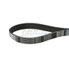 MOCA Serpentine Belt 6PK1490 for 02-03 International Harvester 10.3L & 04-06 Freightliner Classic 14.6L & 05-08 Freightliner Coronado 14.6L